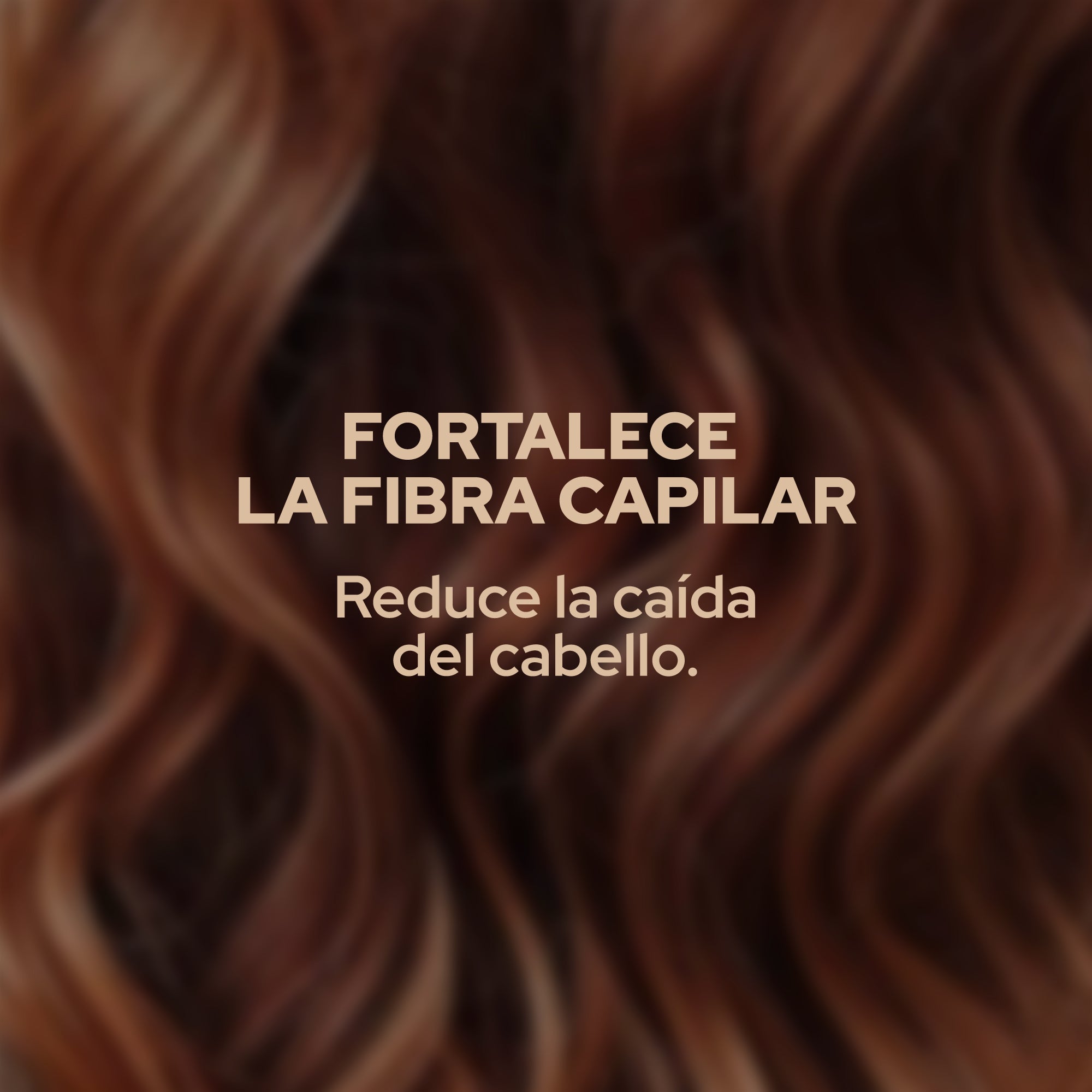 SHAMPOO CON ROMERO ANYELUZ - Imagen 3