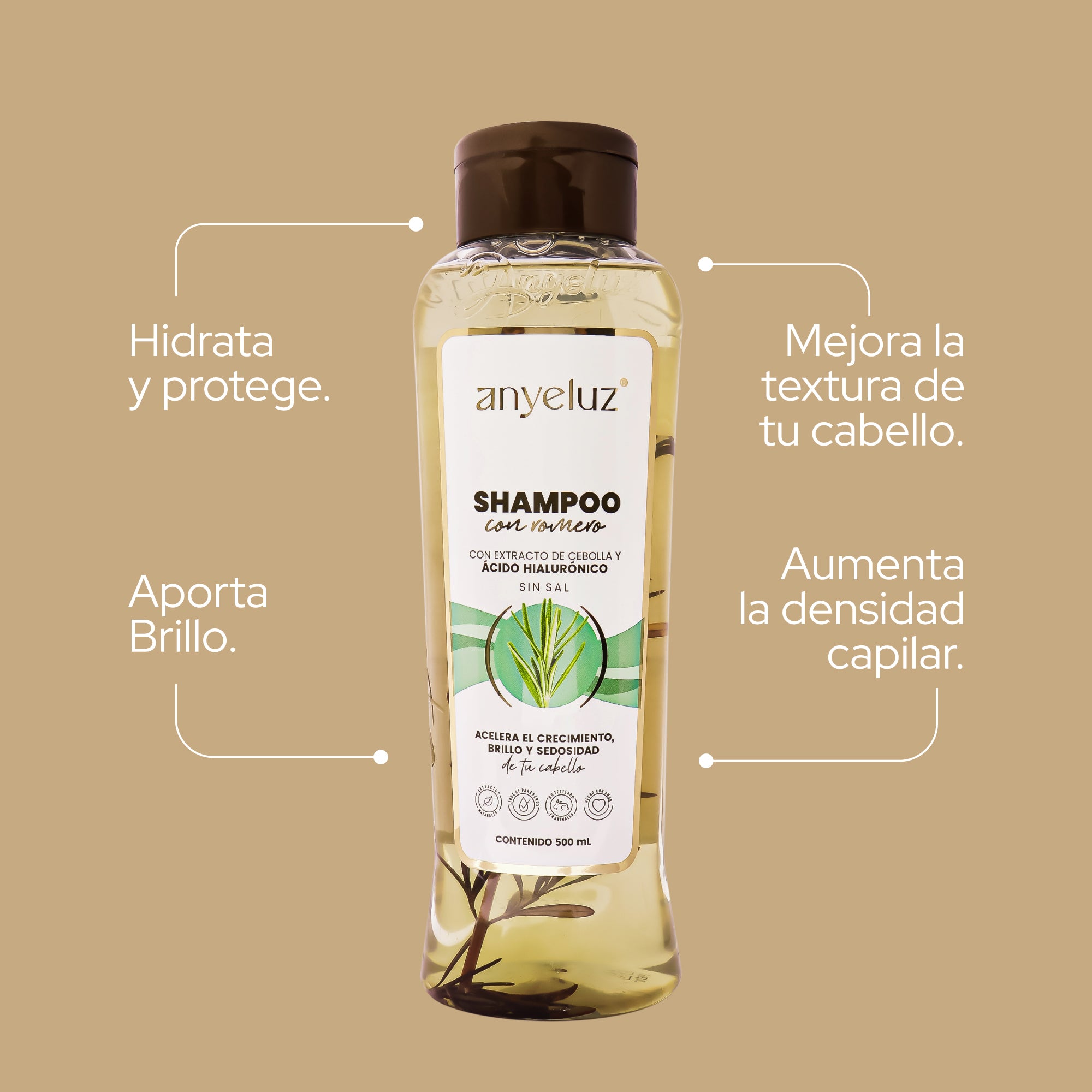 SHAMPOO CON ROMERO ANYELUZ - Imagen 4