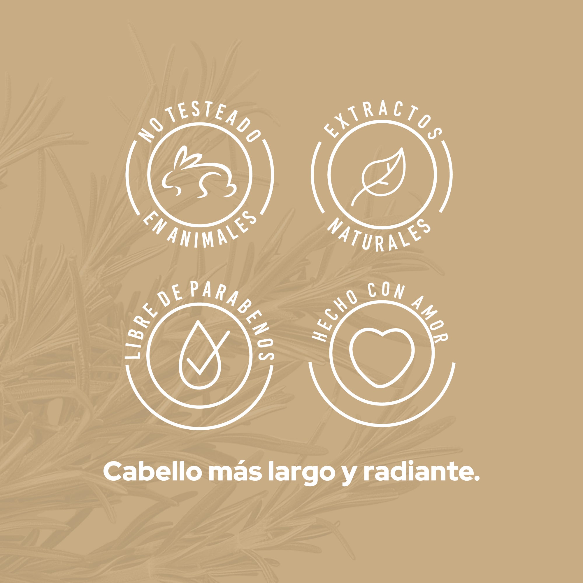 SHAMPOO CON ROMERO ANYELUZ - Imagen 5