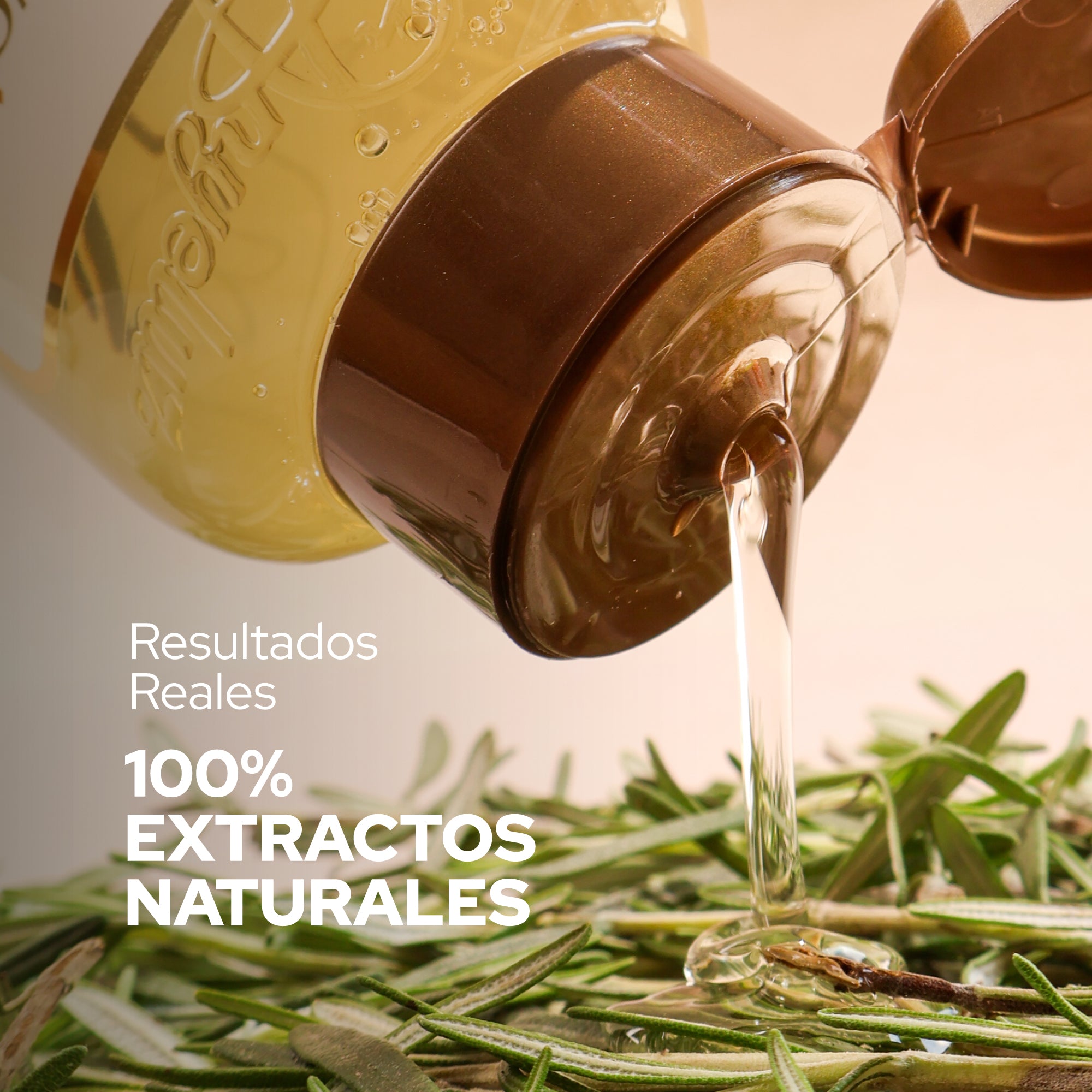 SHAMPOO CON ROMERO ANYELUZ - Imagen 7