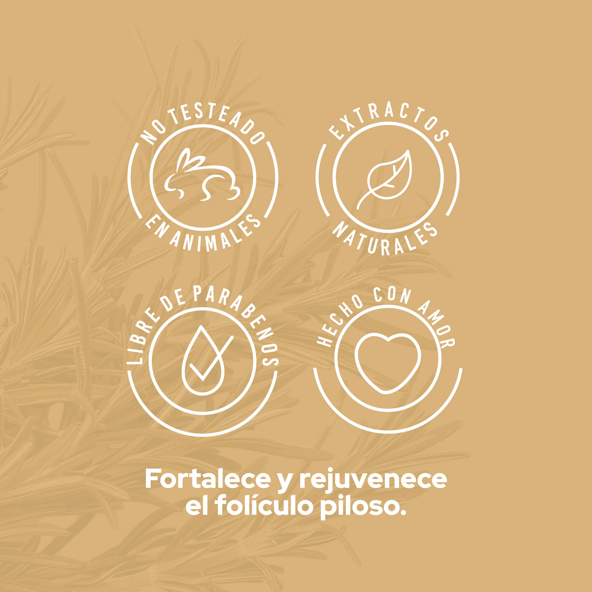 POTENCIALIZADOR DE ROMERO ANYELUZ - Imagen 5