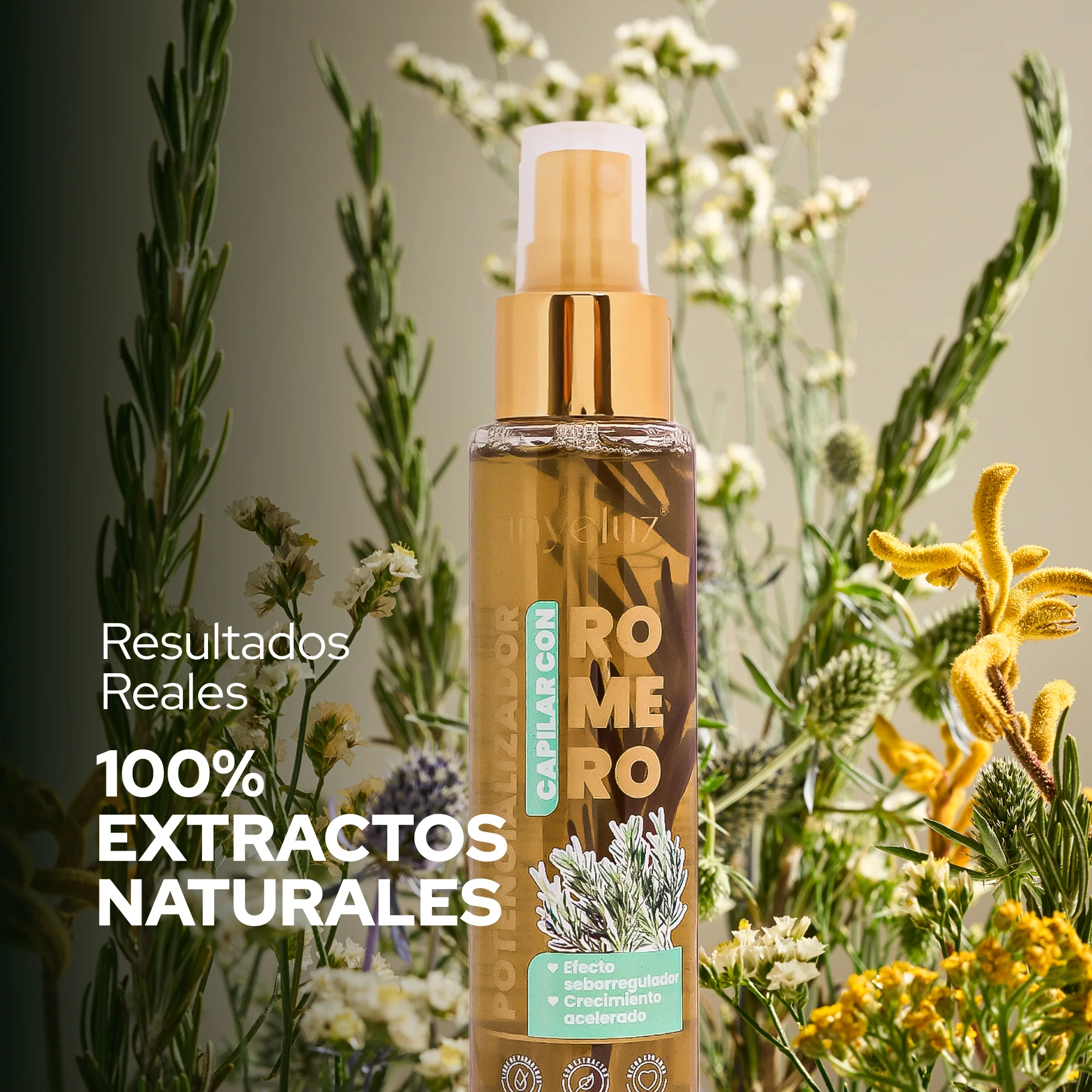 POTENCIALIZADOR DE ROMERO ANYELUZ - Imagen 7